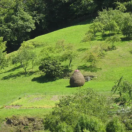 Prázdninový dům Casas De Aldea La Vallicuerra Mieres (Asturias)
